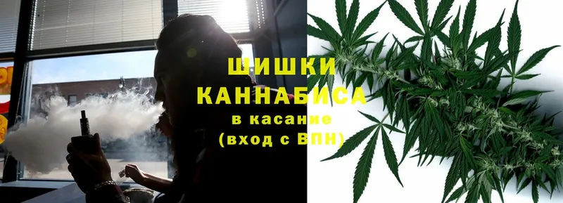 Бошки Шишки сатива  Жуковка 